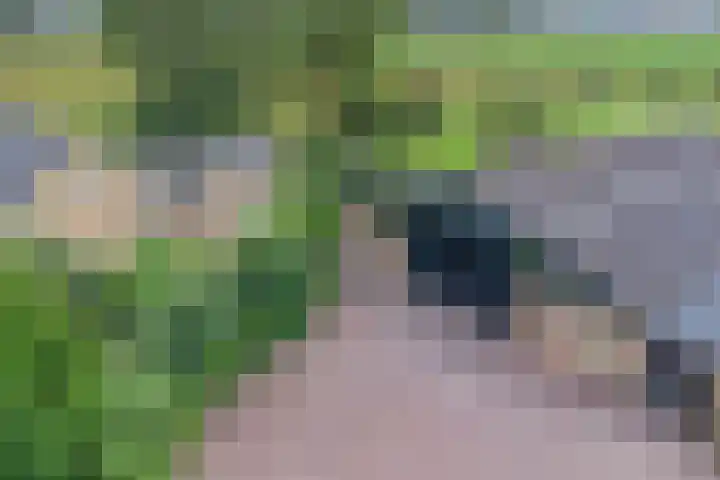 Moerseweg 4 Hooge Zwaluwe thumbnail 70