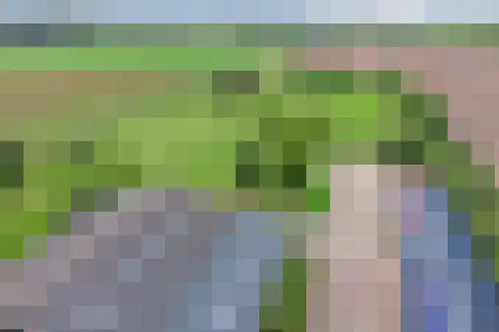 Moerseweg 4 Hooge Zwaluwe thumbnail 71