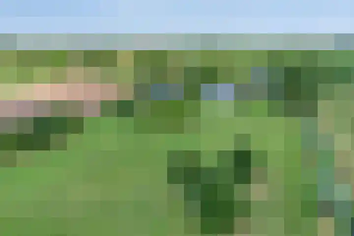 Moerseweg 4 Hooge Zwaluwe thumbnail 72