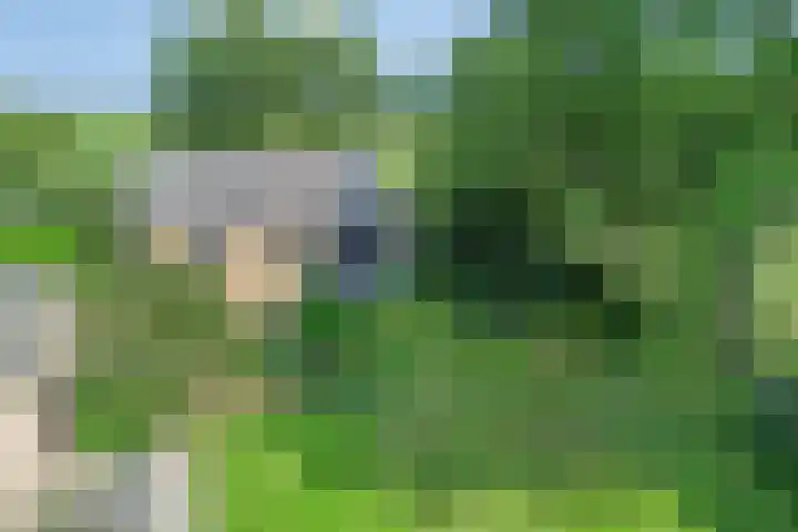 Moerseweg 4 Hooge Zwaluwe thumbnail 74