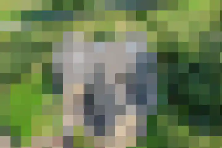 Moerseweg 4 Hooge Zwaluwe thumbnail 75