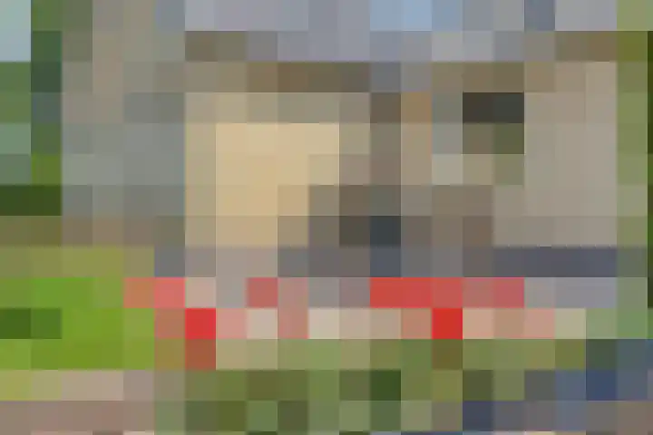 Moerseweg 4 Hooge Zwaluwe thumbnail 8