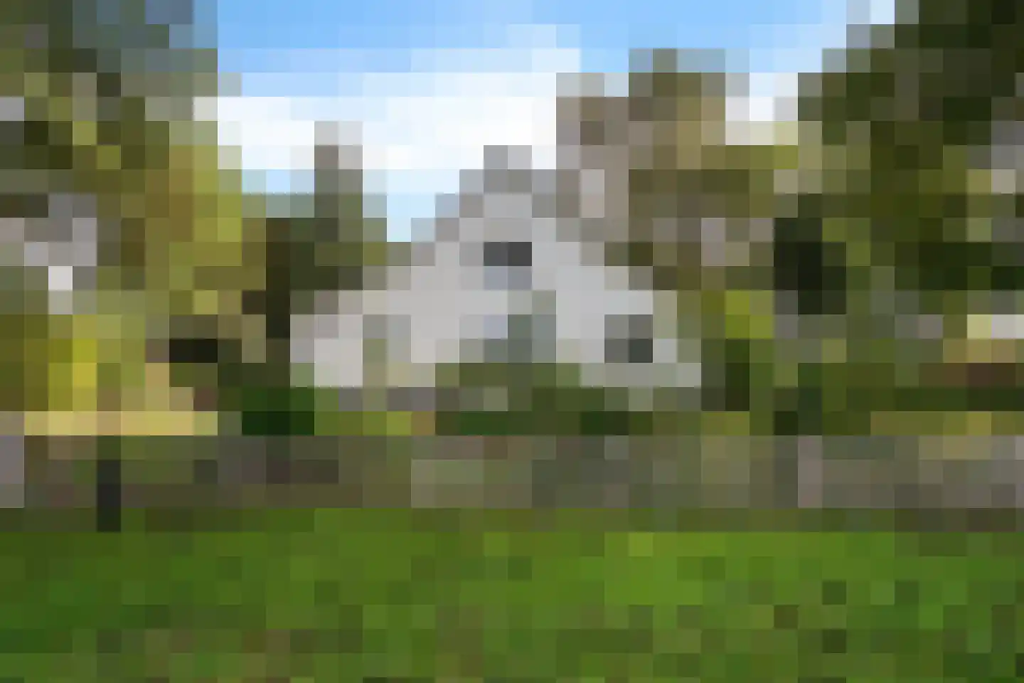 Moersloot 87 Ter Apel thumbnail 4