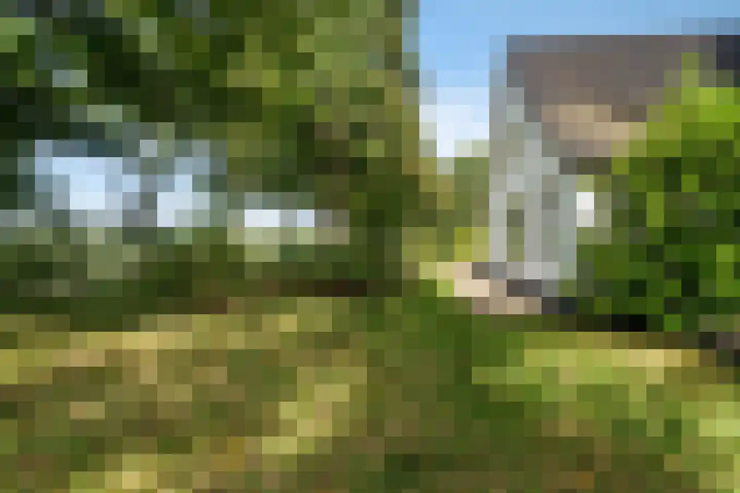 Moersloot 87 Ter Apel thumbnail 53