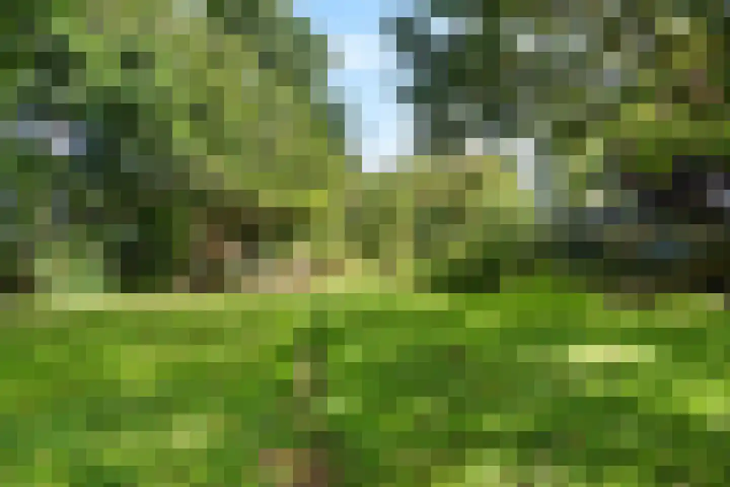 Moersloot 87 Ter Apel thumbnail 54