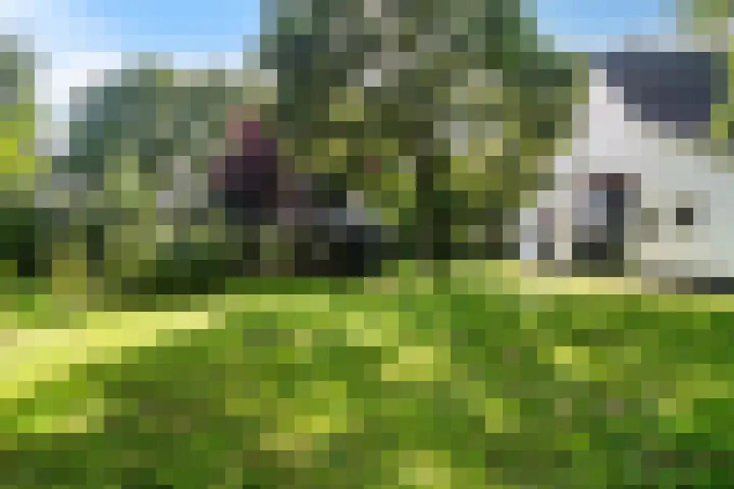 Moersloot 87 Ter Apel thumbnail 55