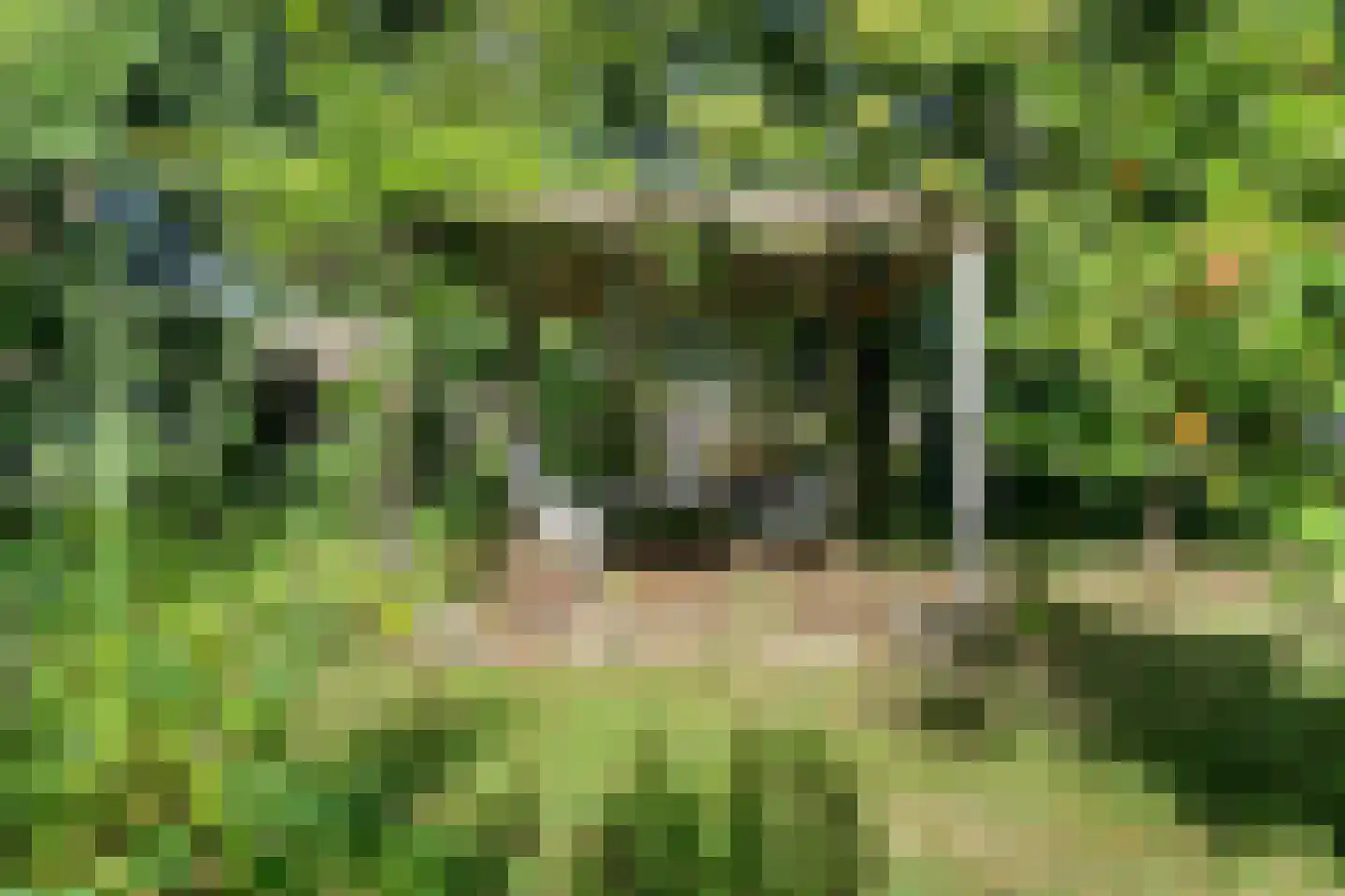 Moersloot 87 Ter Apel thumbnail 56