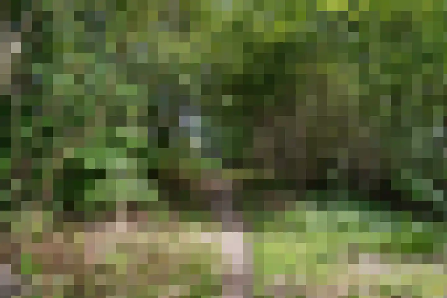 Moersloot 87 Ter Apel thumbnail 59