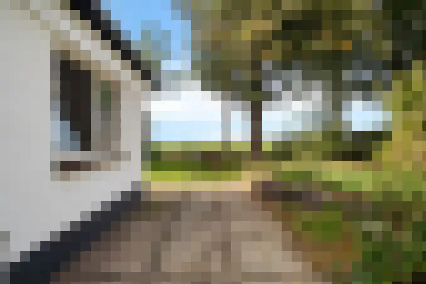 Moersloot 87 Ter Apel thumbnail 6