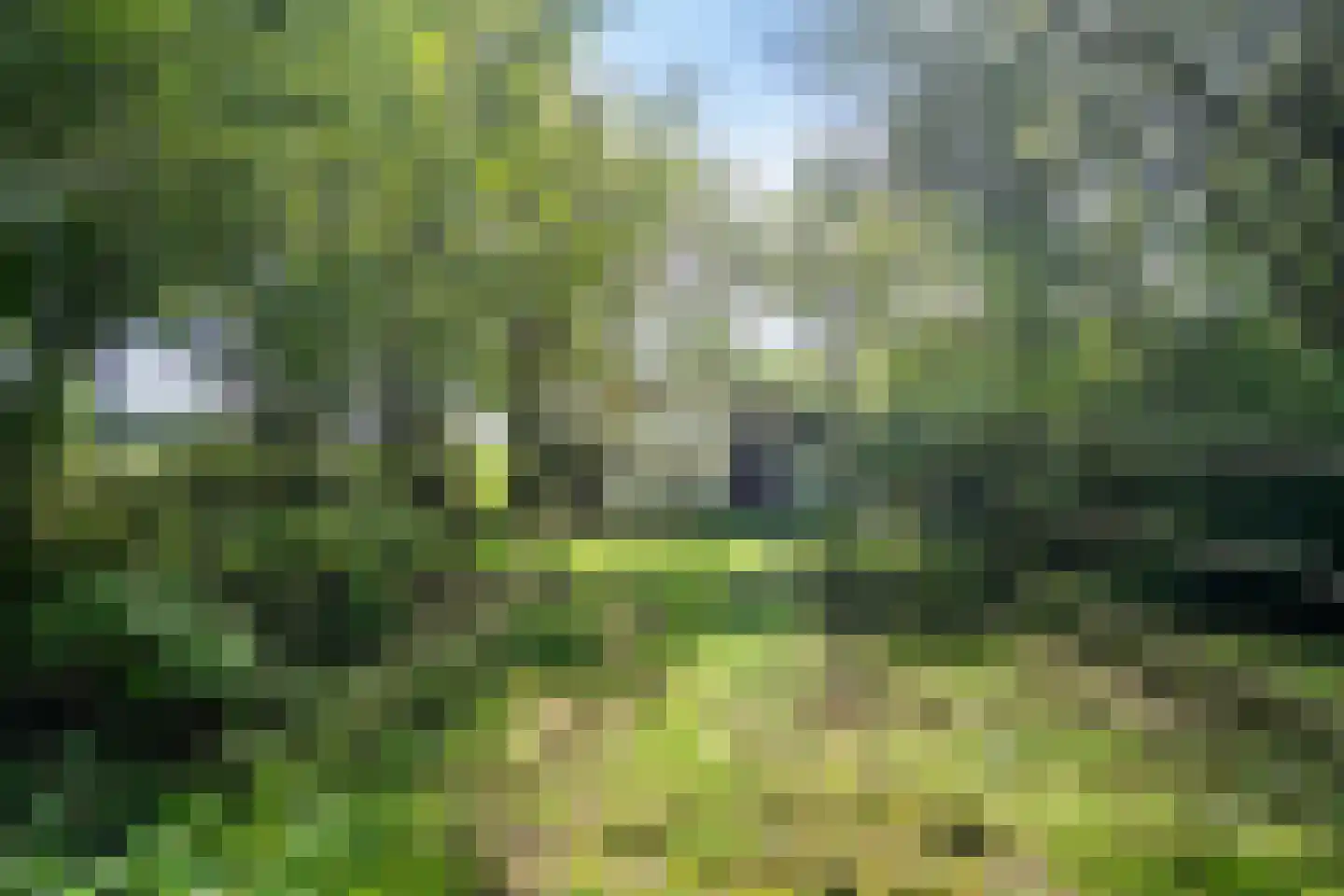 Moersloot 87 Ter Apel thumbnail 61