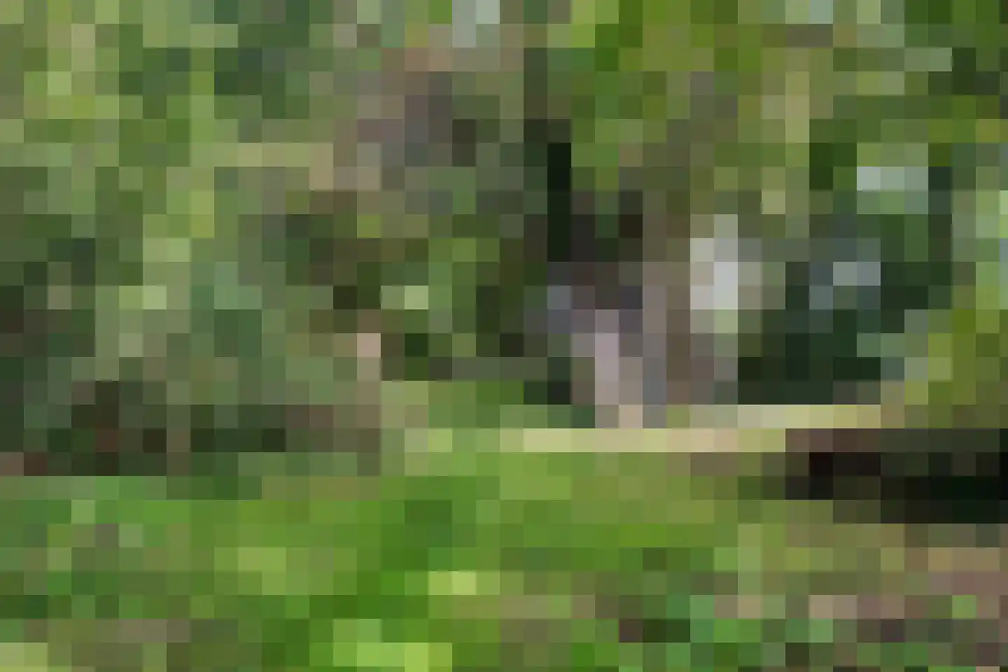 Moersloot 87 Ter Apel thumbnail 62