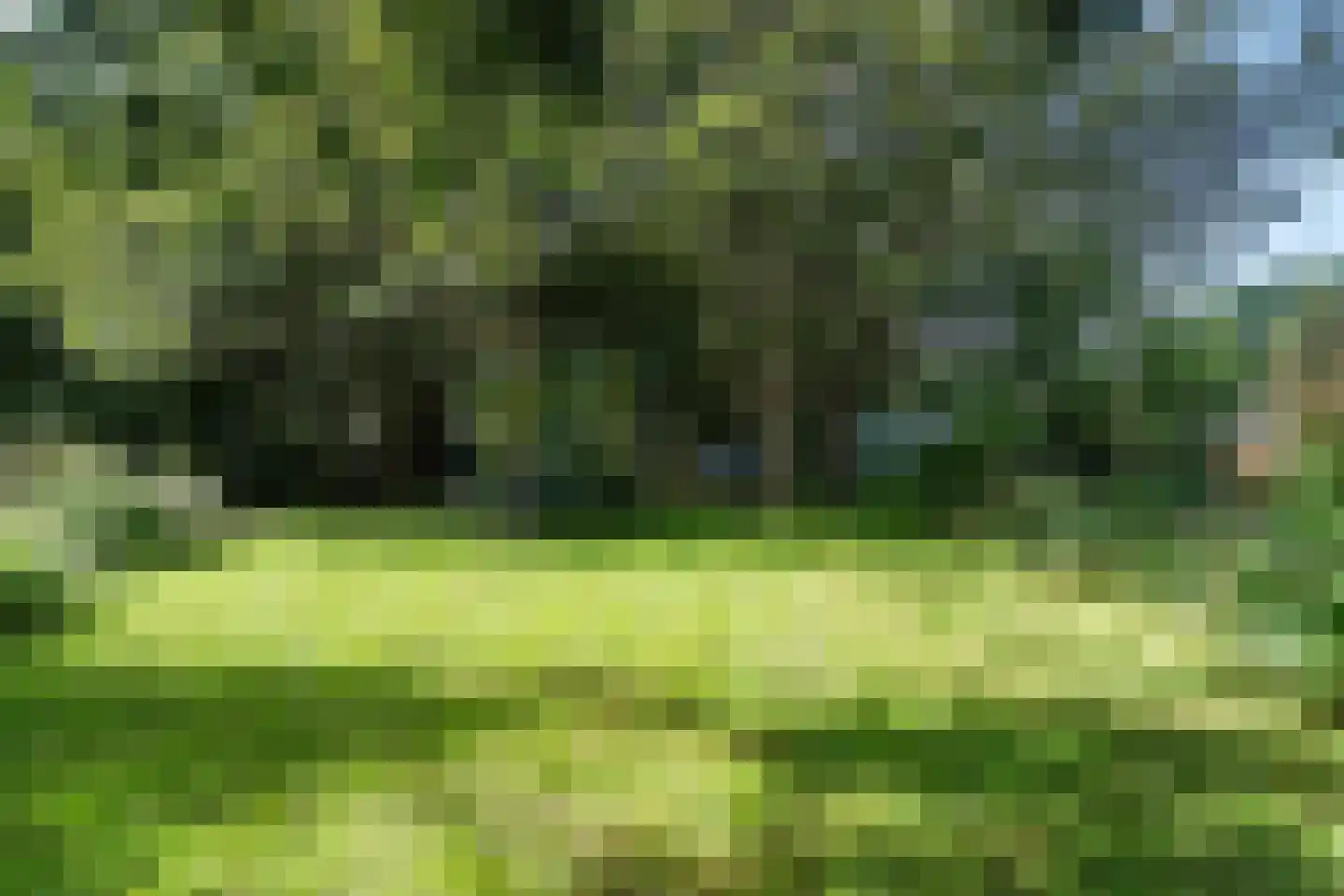 Moersloot 87 Ter Apel thumbnail 66