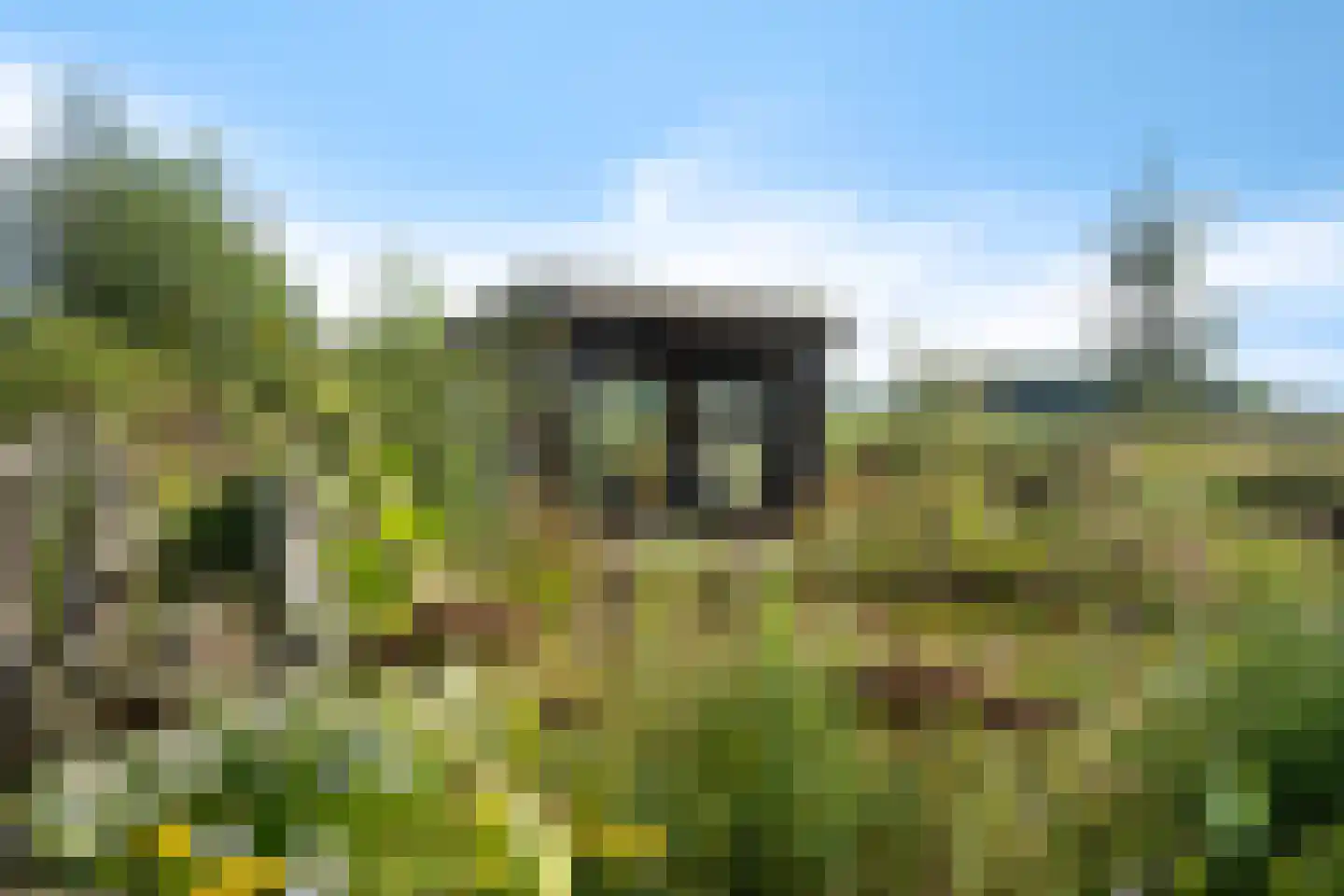 Moersloot 87 Ter Apel thumbnail 67