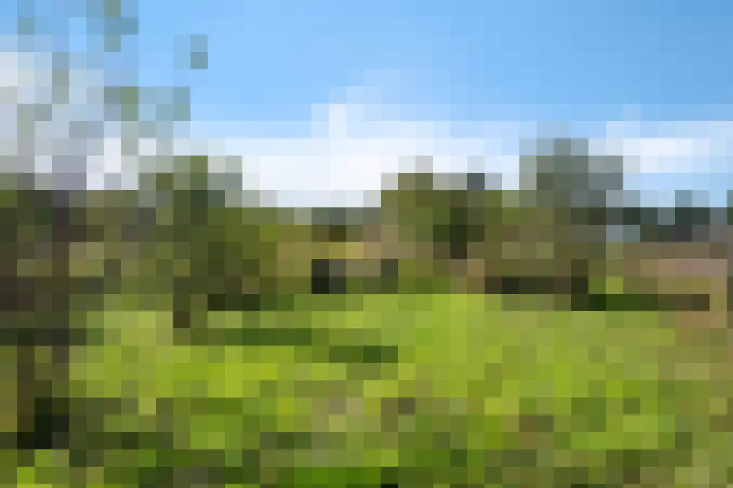 Moersloot 87 Ter Apel thumbnail 68