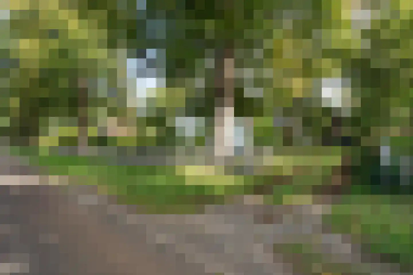 Moersloot 87 Ter Apel thumbnail 7