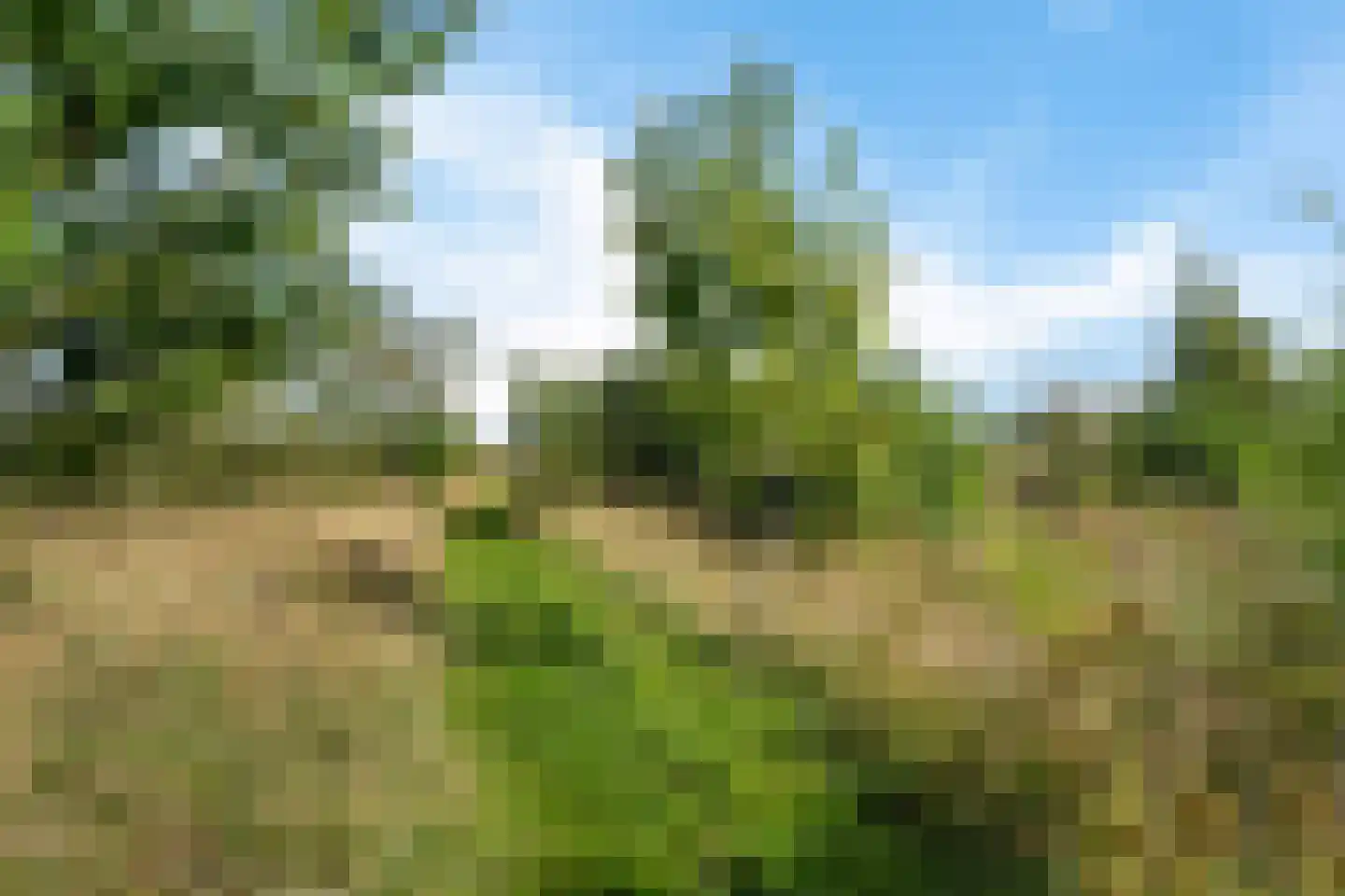 Moersloot 87 Ter Apel thumbnail 70