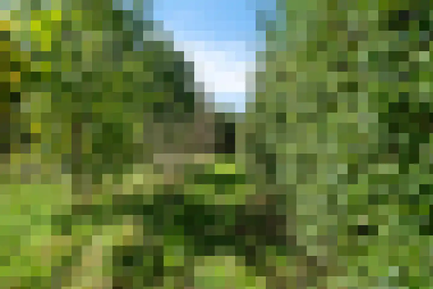 Moersloot 87 Ter Apel thumbnail 71