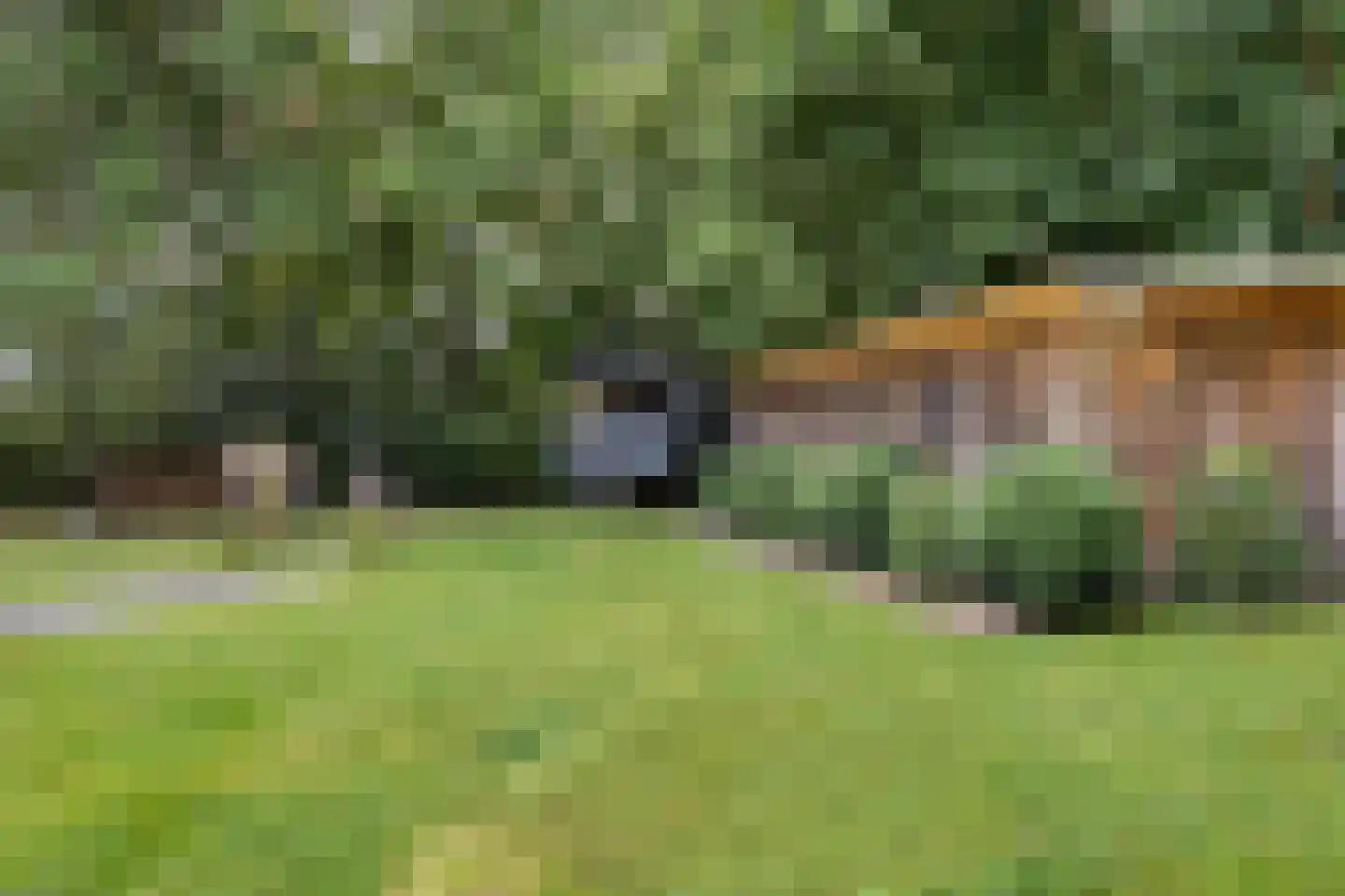 Moersloot 93 Ter Apel thumbnail 10