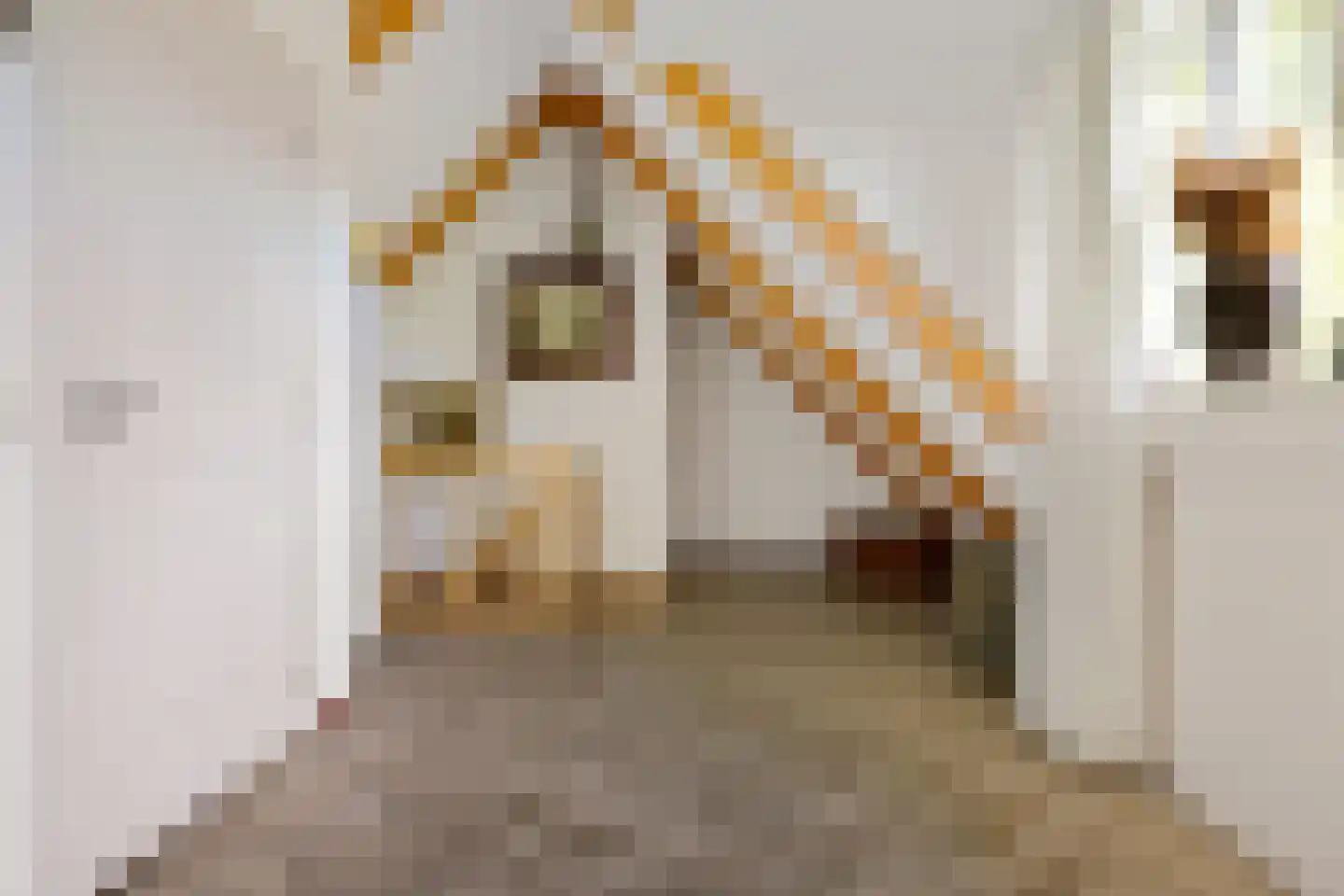 Moersloot 93 Ter Apel thumbnail 54
