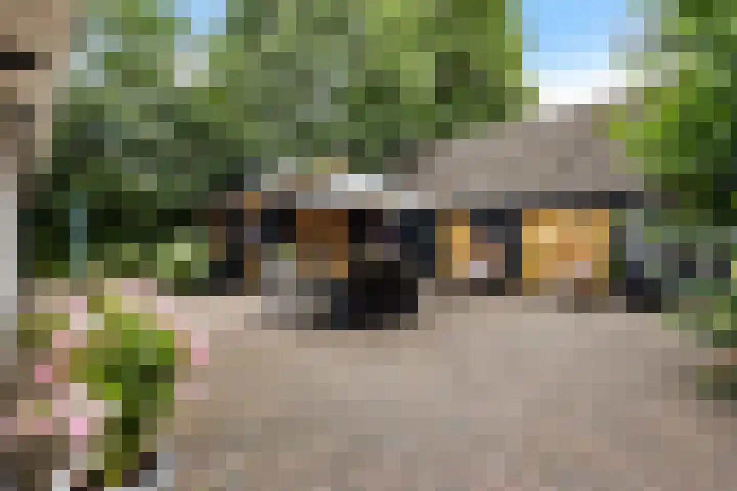 Moersloot 93 Ter Apel thumbnail 55