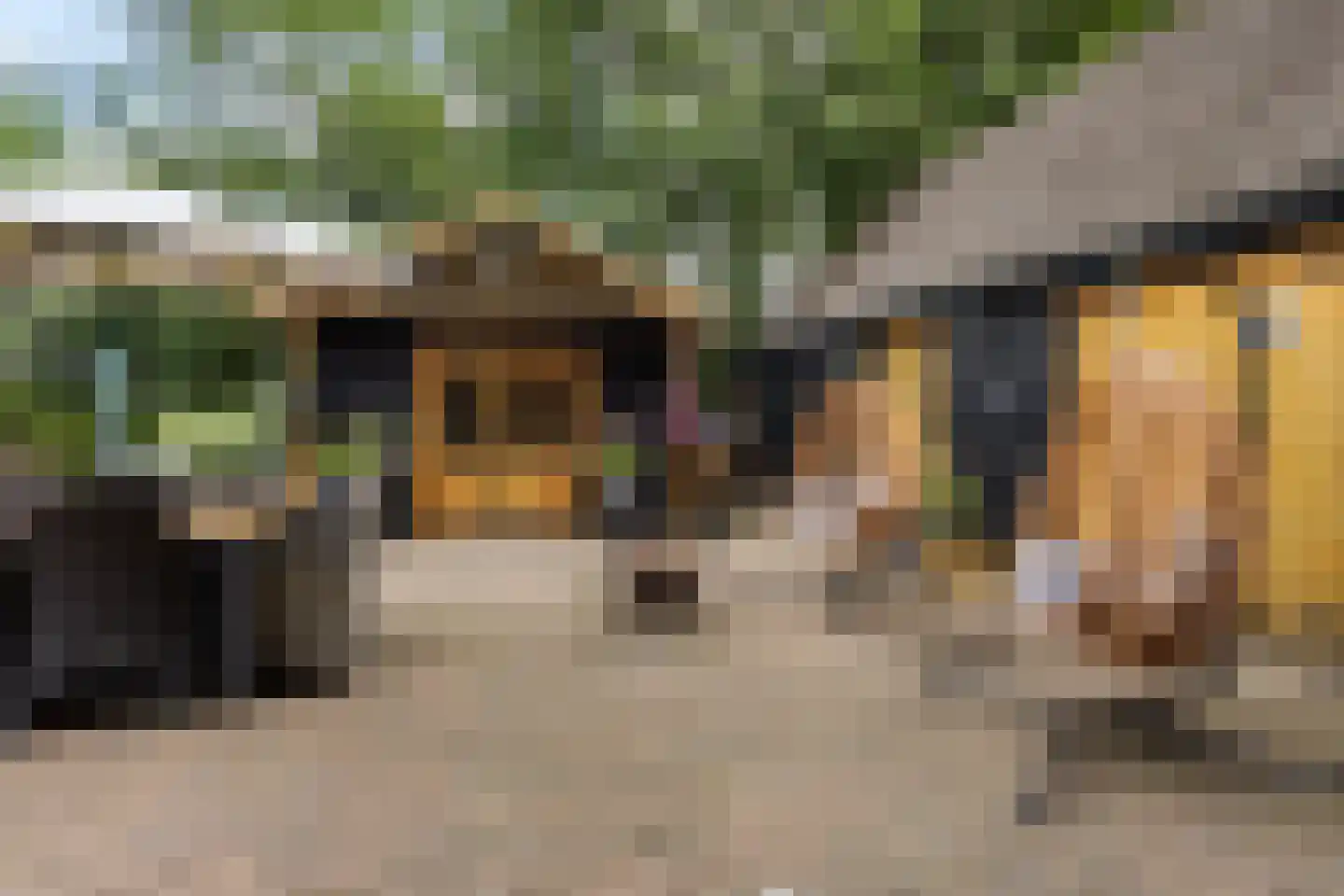 Moersloot 93 Ter Apel thumbnail 56
