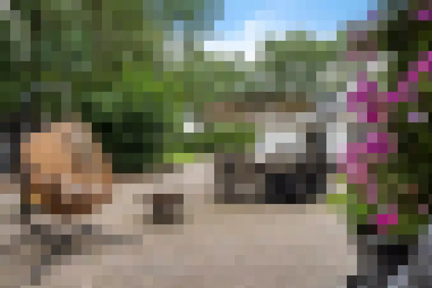 Moersloot 93 Ter Apel thumbnail 57
