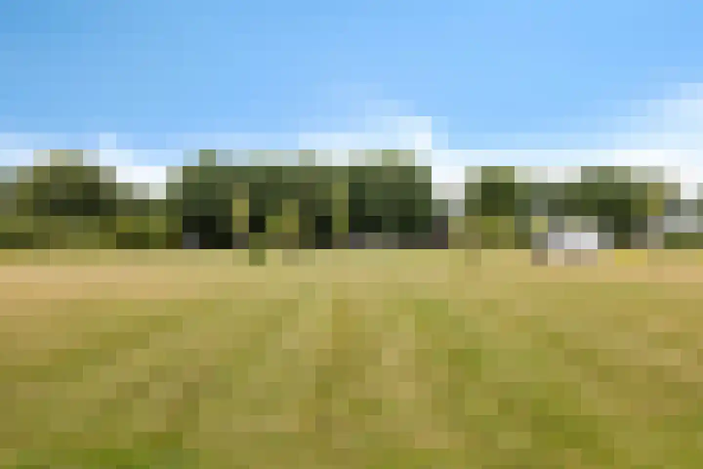 Moersloot 93 Ter Apel thumbnail 65