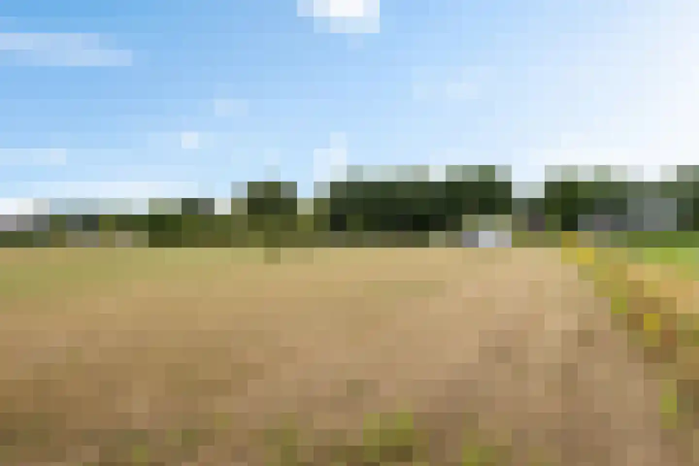 Moersloot 93 Ter Apel thumbnail 66