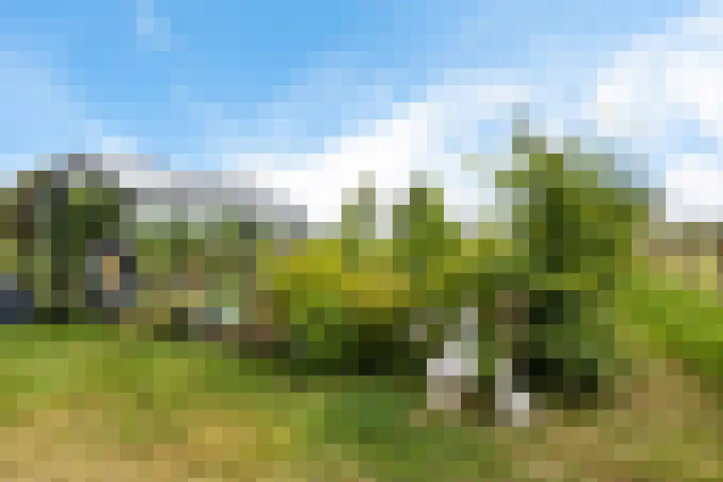 Moersloot 93 Ter Apel thumbnail 68