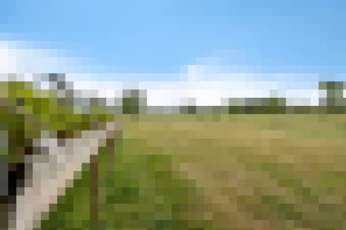 Moersloot 93 Ter Apel thumbnail 69
