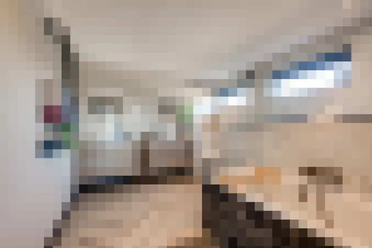 Moerstraat 42 Tilburg thumbnail 19