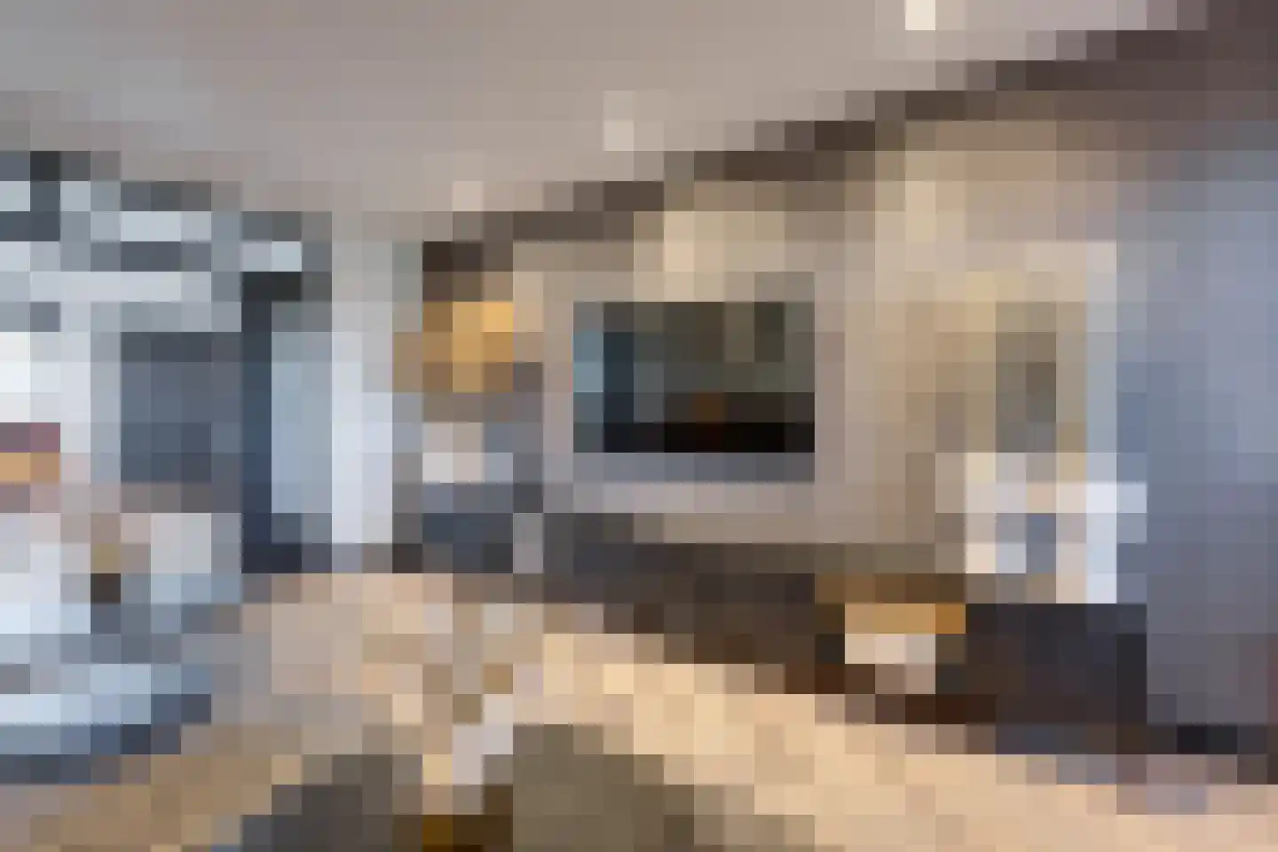 Moerstraat 42 Tilburg thumbnail 36