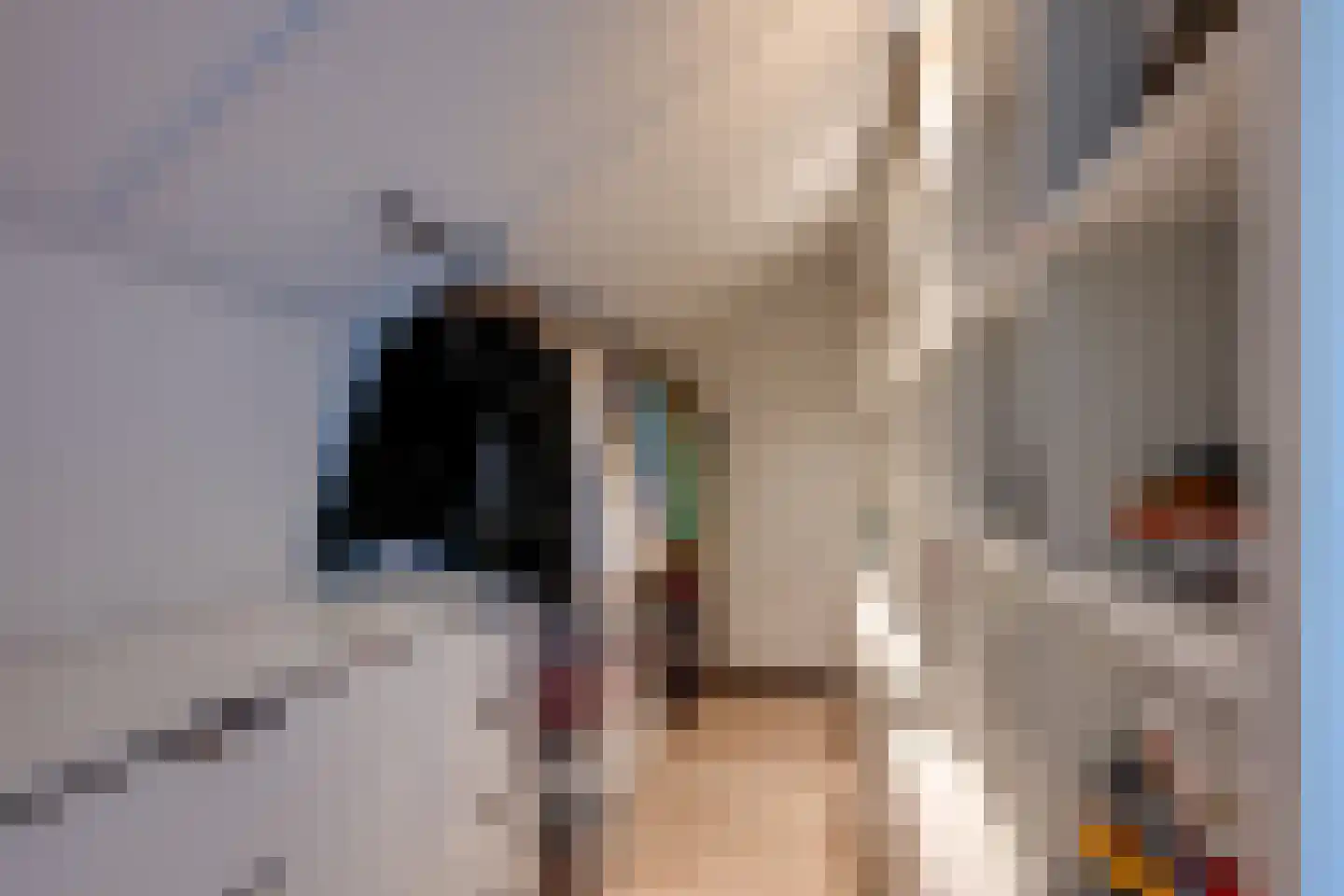 Moerstraat 42 Tilburg thumbnail 58