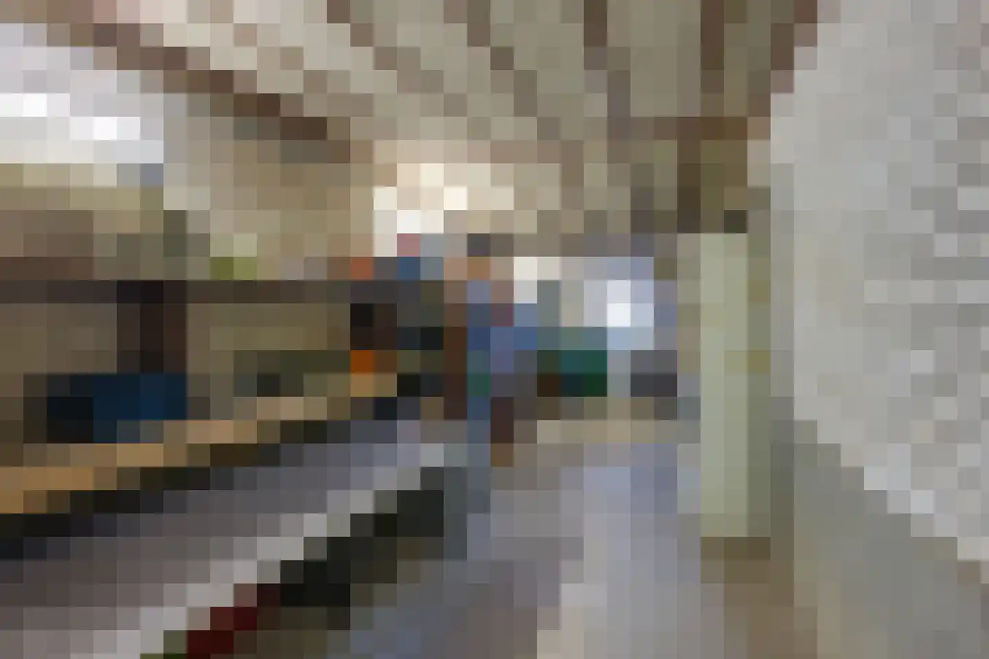 Moerstraat 42 Tilburg thumbnail 80