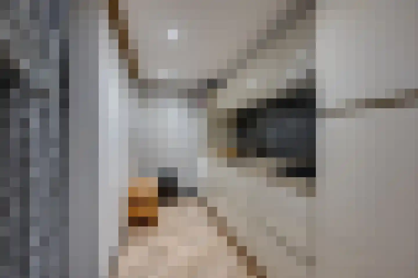 Moerstraat 42 Tilburg thumbnail 92