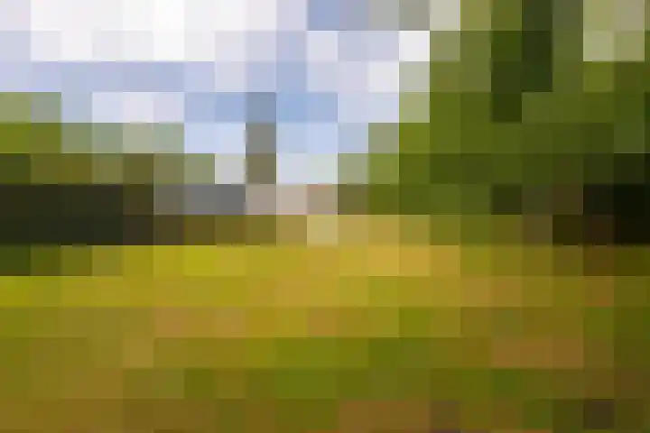 Moerstraatsebaan 160 Bergen op Zoom thumbnail 31