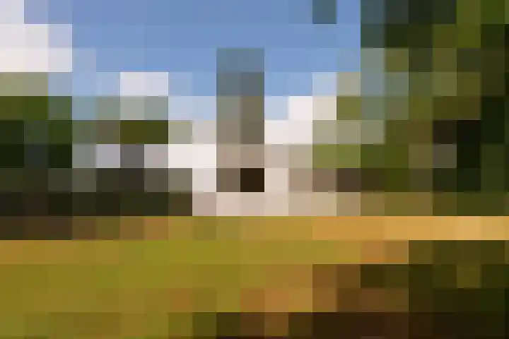 Moerstraatsebaan 160 Bergen op Zoom thumbnail 32
