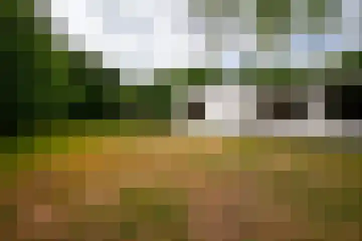 Moerstraatsebaan 160 Bergen op Zoom thumbnail 34