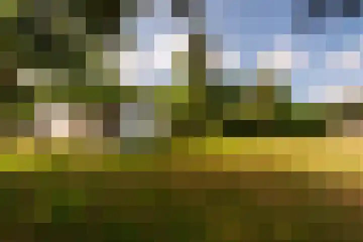 Moerstraatsebaan 160 Bergen op Zoom thumbnail 35