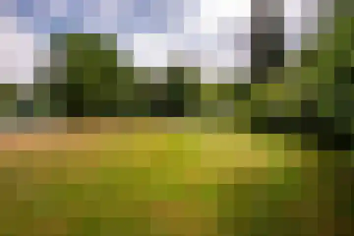 Moerstraatsebaan 160 Bergen op Zoom thumbnail 37