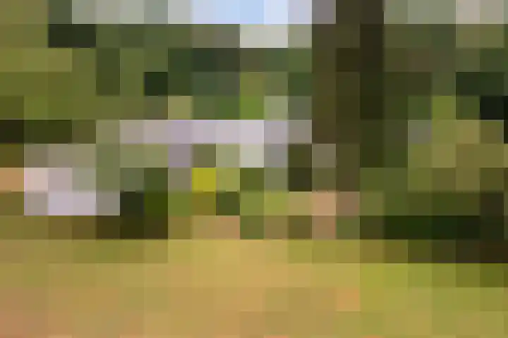 Moerstraatsebaan 160 Bergen op Zoom thumbnail 38