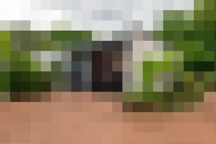 Moerstraatsebaan 160 Bergen op Zoom thumbnail 43