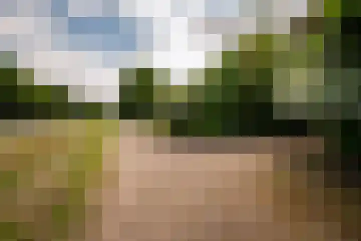 Moerstraatsebaan 160 Bergen op Zoom thumbnail 47