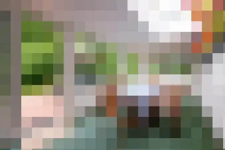 Moerstraatsebaan 160 Bergen op Zoom thumbnail 9