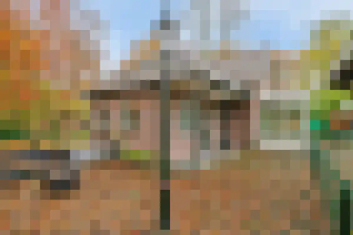Moerstraatsebaan 41 Halsteren thumbnail 4