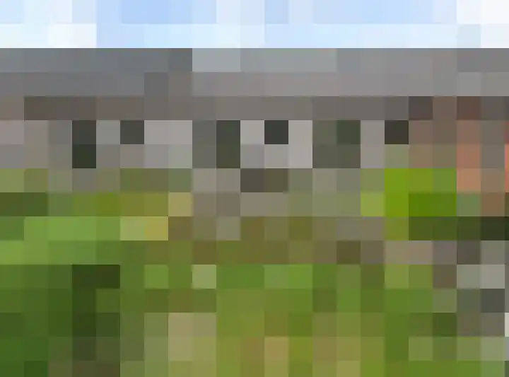 Moerstraatseweg 150 Steenbergen thumbnail 28