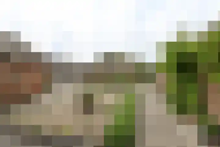 Moerstraatseweg 150 Steenbergen thumbnail 51