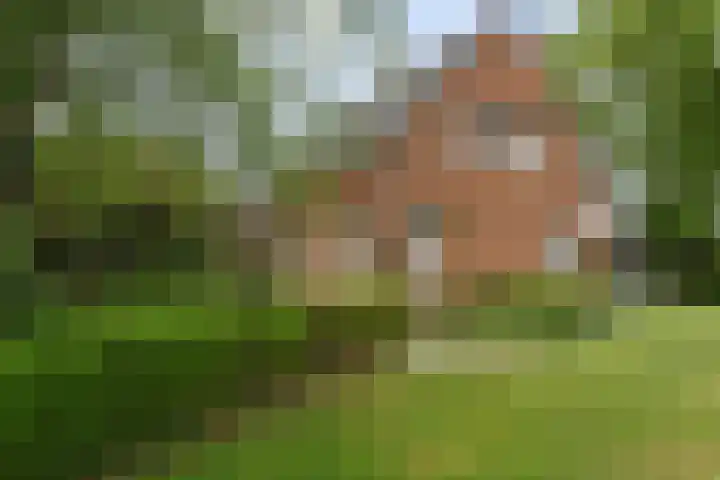 Moerstraatseweg 150 Steenbergen thumbnail 62