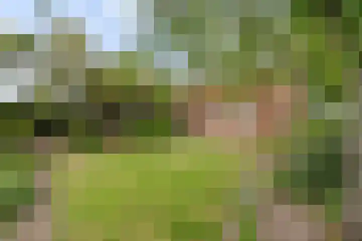 Moerstraatseweg 150 Steenbergen thumbnail 64