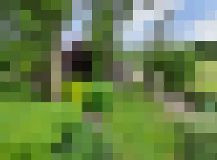 Moerstraatseweg 150 Steenbergen thumbnail 69